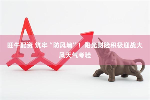 旺牛配资 筑牢“防风墙”！阳光财险积极迎战大风天气考验