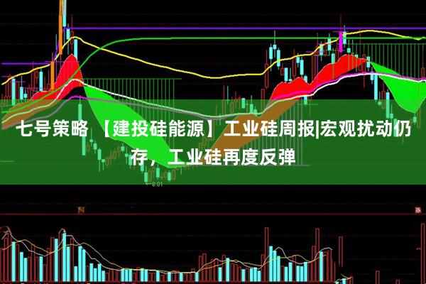 七号策略 【建投硅能源】工业硅周报|宏观扰动仍存，工业硅再度反弹